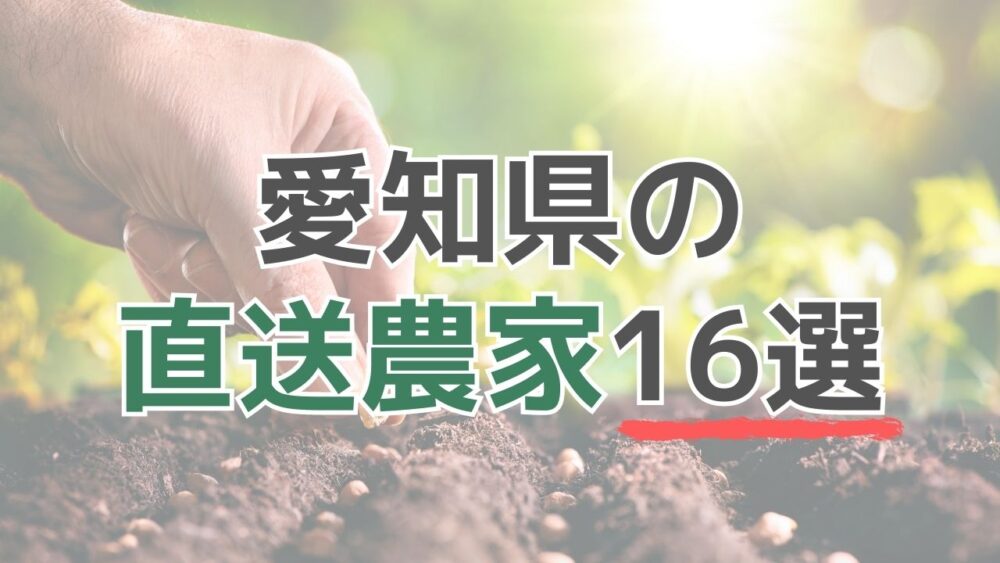 愛知県の有機野菜・無農薬野菜の農家直送16選