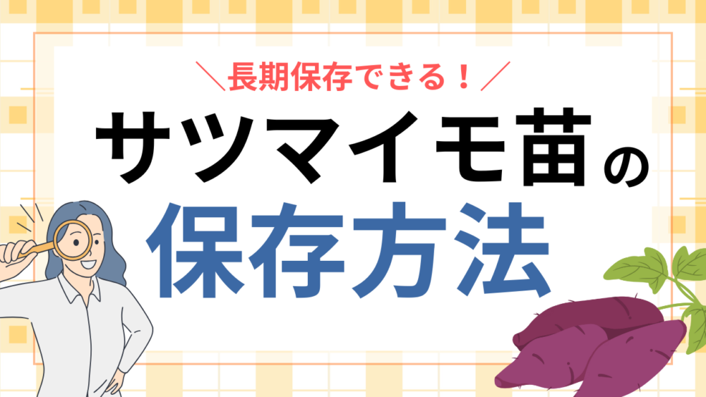 サツマイモ苗の保存方法